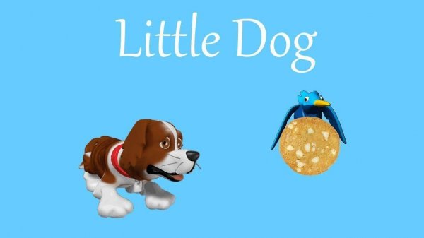 Canine Treat Trail Puzzle