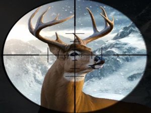 Hunter 3D Shooting Game Arcade Game