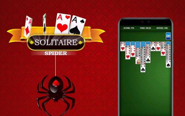 Patience Spider Card Puzzle